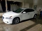 NISSAN MAXIMA 2011