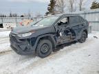 TOYOTA RAV4 2021