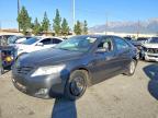 TOYOTA CAMRY 2011