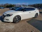 NISSAN MAXIMA 2017