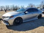 TOYOTA CAMRY 2023