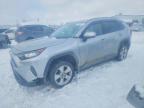 TOYOTA RAV4 2019