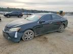 LEXUS ES 2008