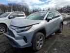 TOYOTA RAV4 HYBRID 2024
