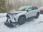 TOYOTA RAV4 2025