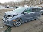 HONDA ODYSSEY 2025