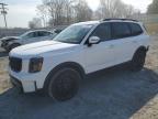 KIA TELLURIDE 2024