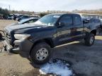 TOYOTA TACOMA 2019