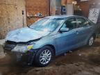 TOYOTA CAMRY HYBRID 2010