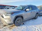 TOYOTA RAV4 2021