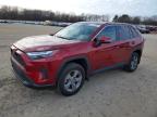 TOYOTA RAV4 2024