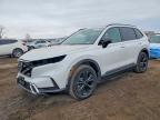 HONDA CR-V 2026