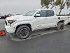 TOYOTA TACOMA 2024