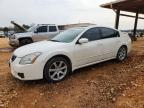 NISSAN MAXIMA 2007
