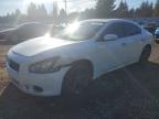 NISSAN MAXIMA 2014