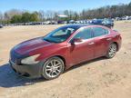 NISSAN MAXIMA 2011
