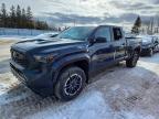TOYOTA TACOMA 2024