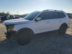 KIA TELLURIDE 2025