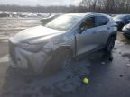LEXUS NX 2024