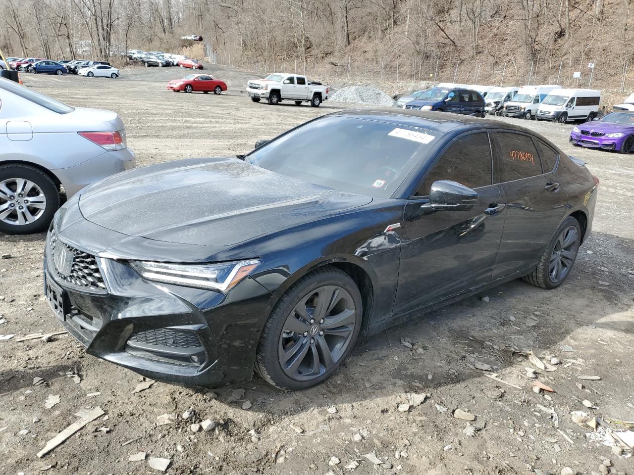 ACURA TLX A-SPEC 2023