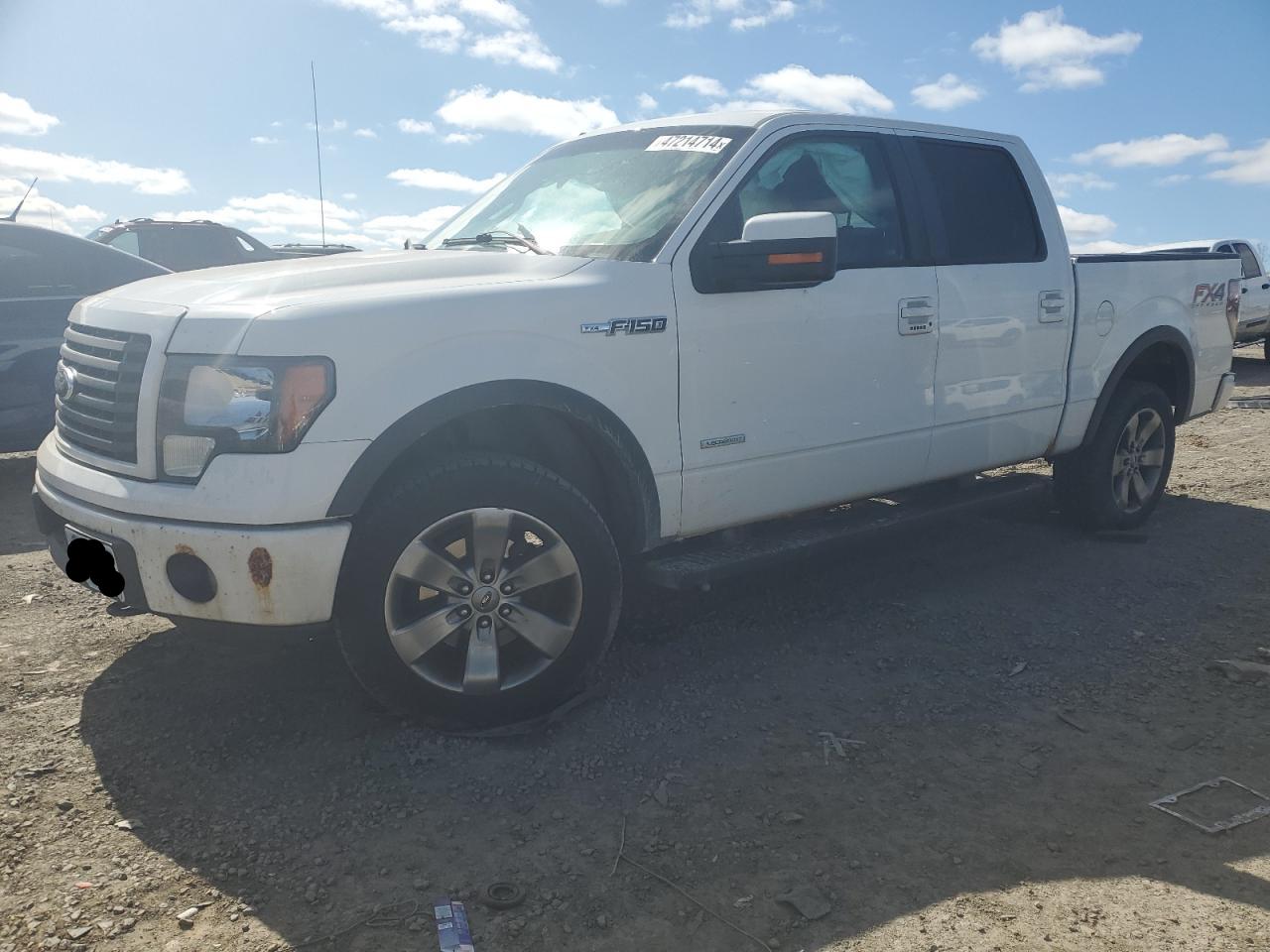 FORD F-150 2012