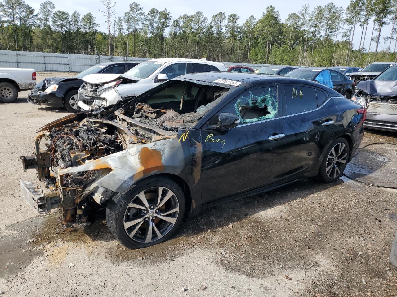 Nissan Maxima 2016