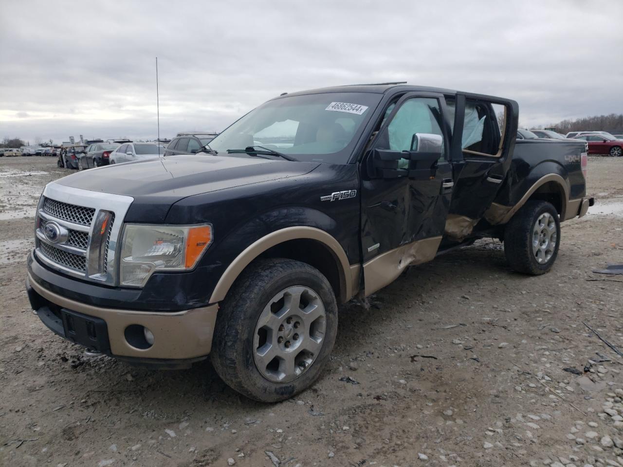 FORD F-150 2012