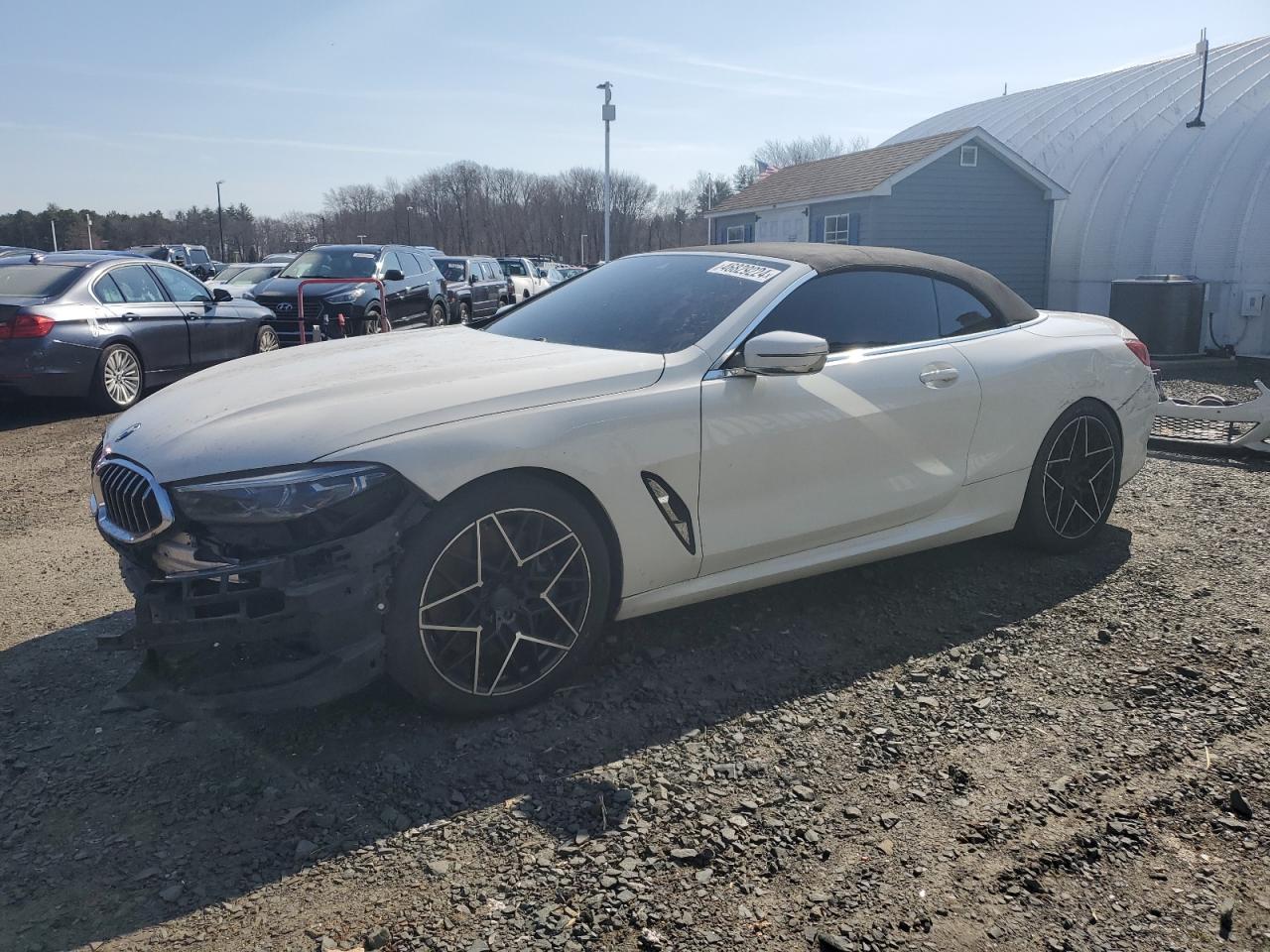 BMW M8 2019