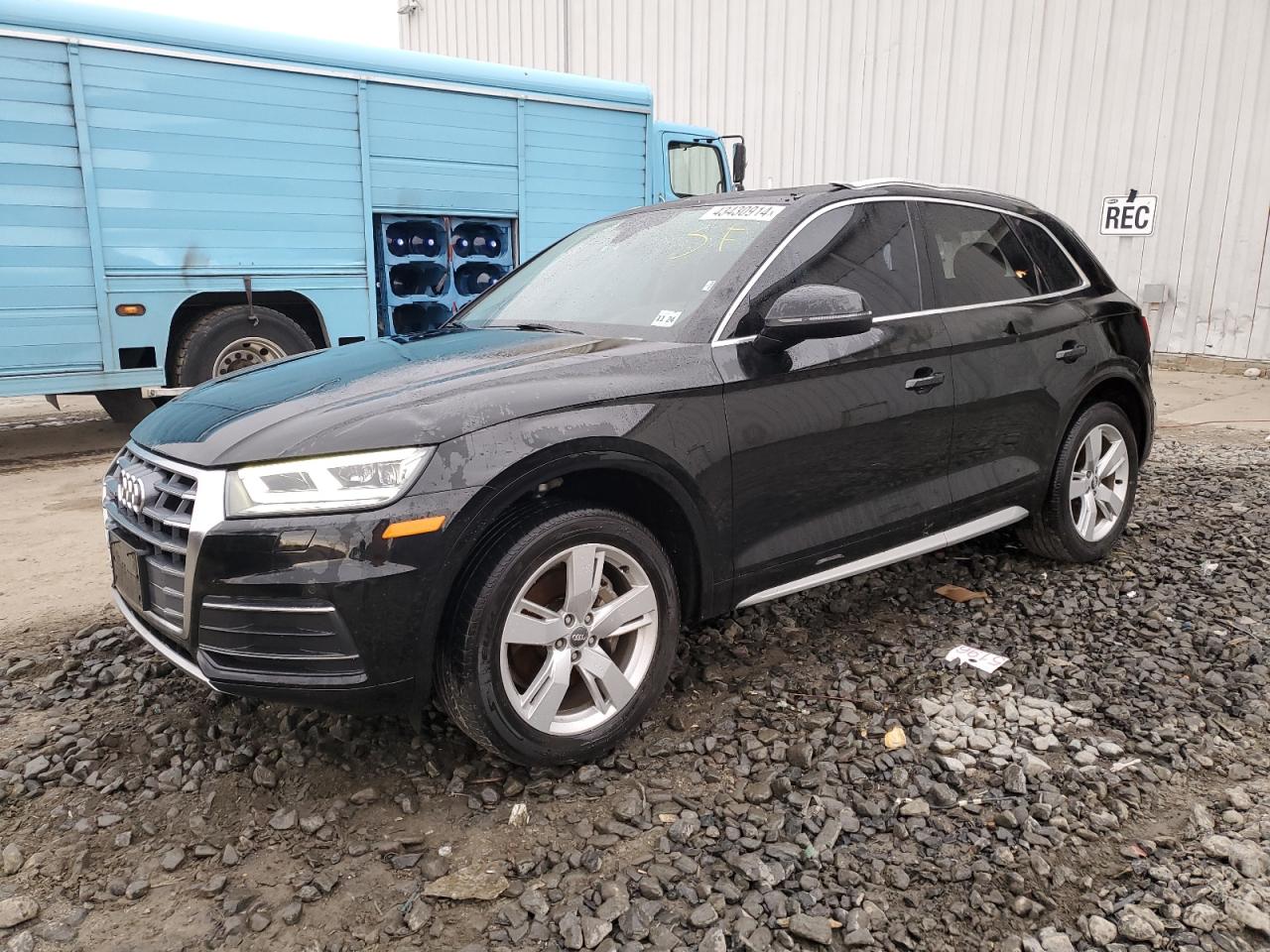 Audi Q5 2019
