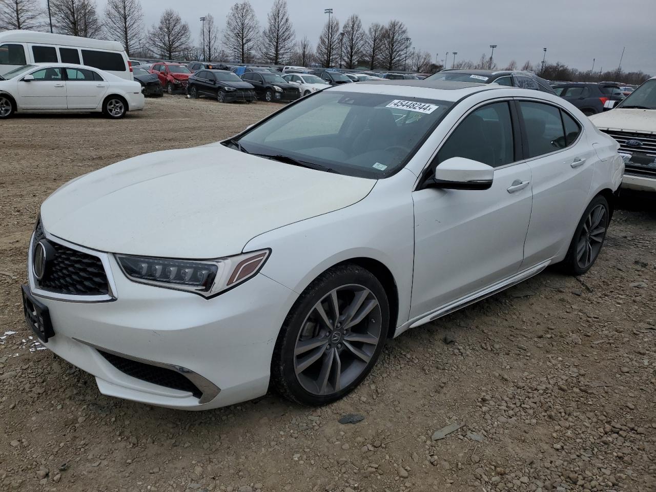 ACURA TLX TECHNO 2019