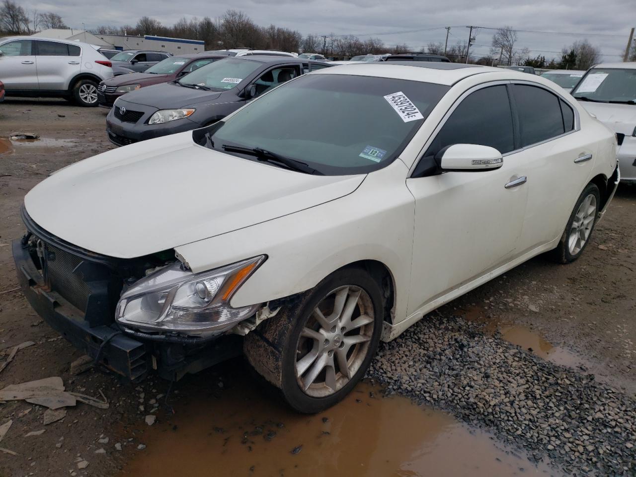 Nissan Maxima 2010