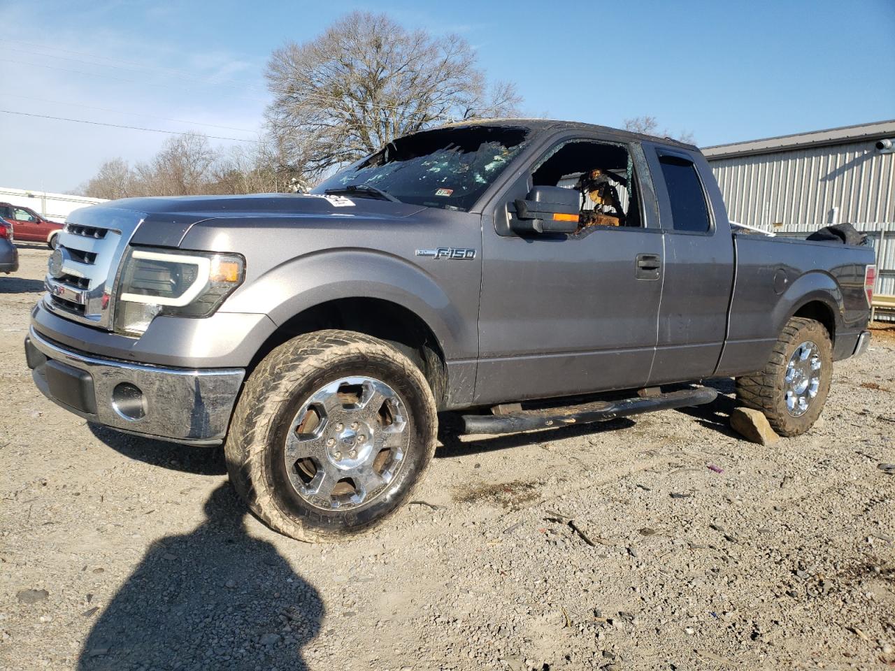 FORD F-150 2010
