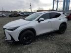 Lexus Nx 350 2025