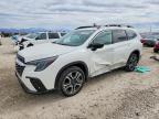 SUBARU ASCENT 2024