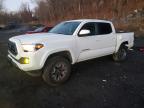 TOYOTA TACOMA 2021