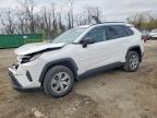 TOYOTA RAV4 2021