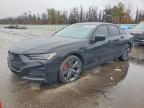 ACURA TLX 2022