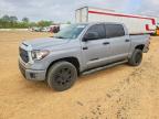 TOYOTA TUNDRA 2021