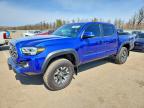 TOYOTA TACOMA 2023