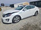 KIA OPTIMA HYBRID 2016