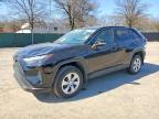 TOYOTA RAV4 2024