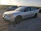 CHEVROLET MALIBU 2005
