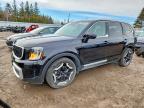 KIA TELLURIDE 2024