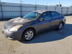 NISSAN ALTIMA 2010