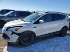 FORD ESCAPE 2014