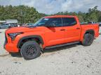 TOYOTA TUNDRA 2023