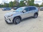TOYOTA RAV4 HYBRID 2025