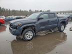 TOYOTA TACOMA 2024
