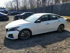 NISSAN ALTIMA 2025