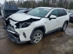 TOYOTA RAV4 HYBRID 2019